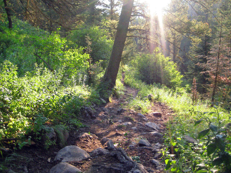 Some of the fine rock gardens making up most of the descent on Phillips Canyon