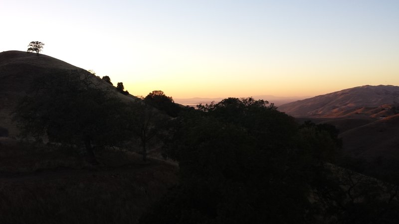 East Bay Hills with SF Bay in background