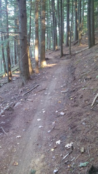 Nice machine built trail!