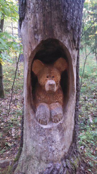 Nice carving on Bear Brook