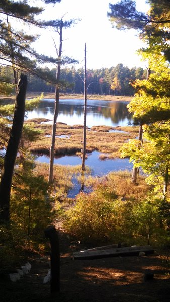 Smith Pond from the shelter on Bear Brook beginner loop