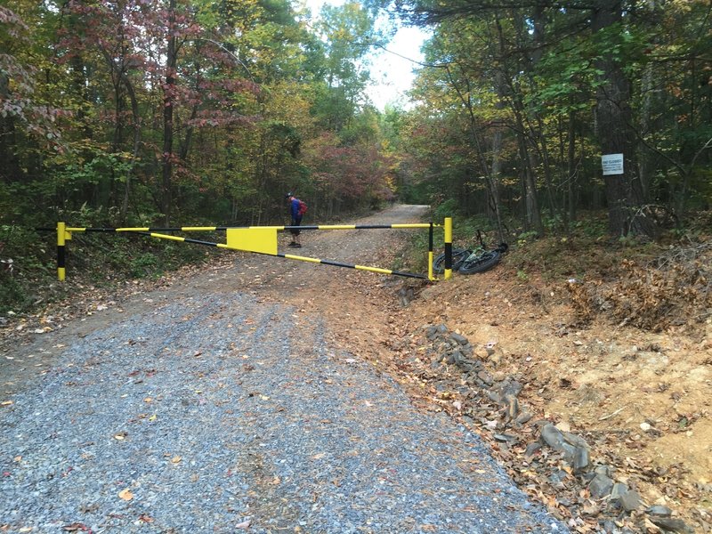 Entrance to Wallace Trail is a logging road