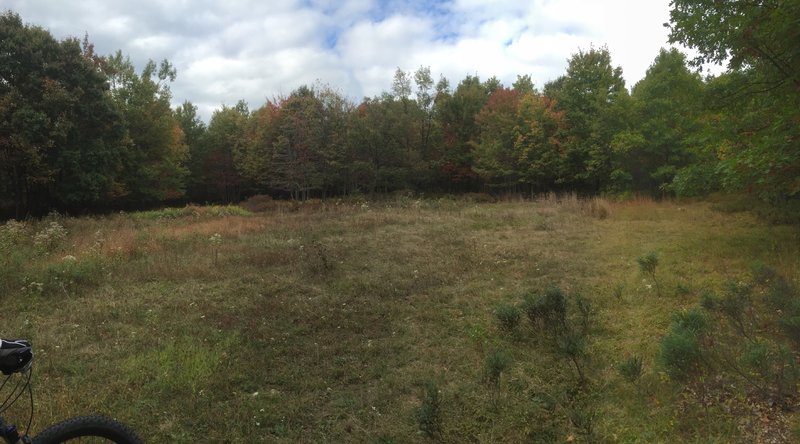 At the clearing keep to the right, sign making trail blends in