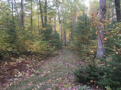 On the Old Lewistown Pike