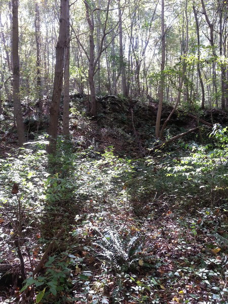 Be sure to look around and check out the rock formations on both sides of the valley as you ride the Falls Trail.