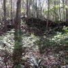 Be sure to look around and check out the rock formations on both sides of the valley as you ride the Falls Trail.