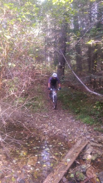 Creek crossing on Trail 257C