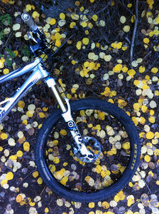 Fall = good color on the Too Long Trail