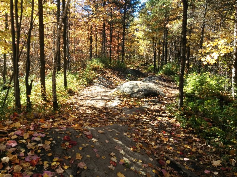 Slickrock in the middle of the Panoramique 20 Trail