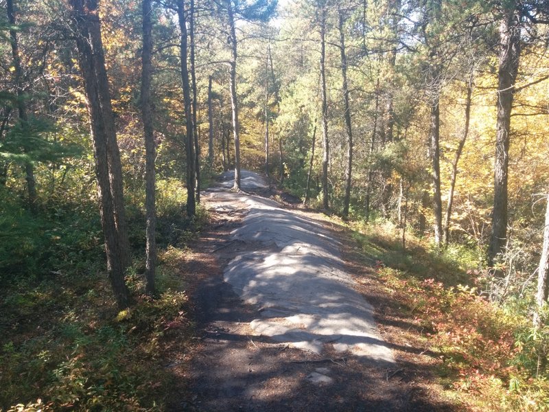 A slickrock part in the Panoramique 12 Trail