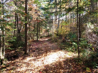 Flowy trail on Panoramique 9