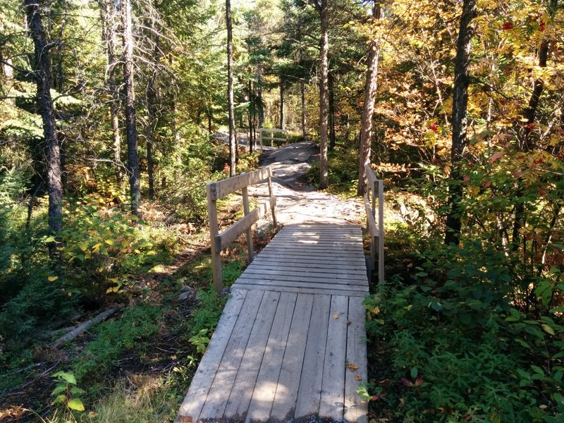 Some rocks and bridges from the Panoramique 20 trail