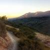 Mt. Tamalpais in the distance, Wagonwheel Trail section (facing SE or counter-clockwise direction)