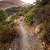 White's Hill, Wagonwheel Trail section. (facing NW or clock-wise direction)