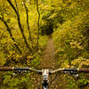 Riding counter clockwise in the fall on Headwaters Trail.