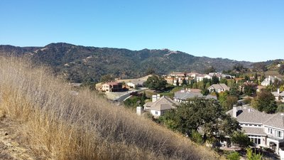 You get a bird's eye view of some great neighborhoods