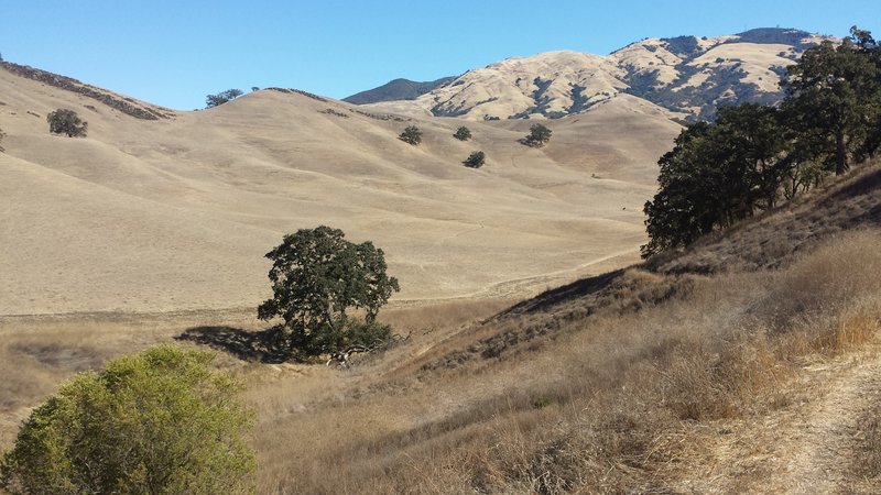 This is a gorgeous, seldom visited canyon.  It is hard to decide whether to pay attention to the perfect singletrack descent or the view.