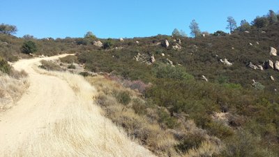 Wall Point Trail at the top of Emmons Canyon.