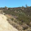 Wall Point Trail at the top of Emmons Canyon.