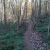 Some hand-benched goodness on the rain trail.