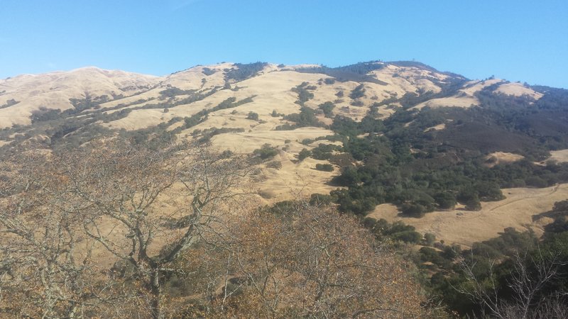 Looking east towards Mt Diablo from Wall Point Road