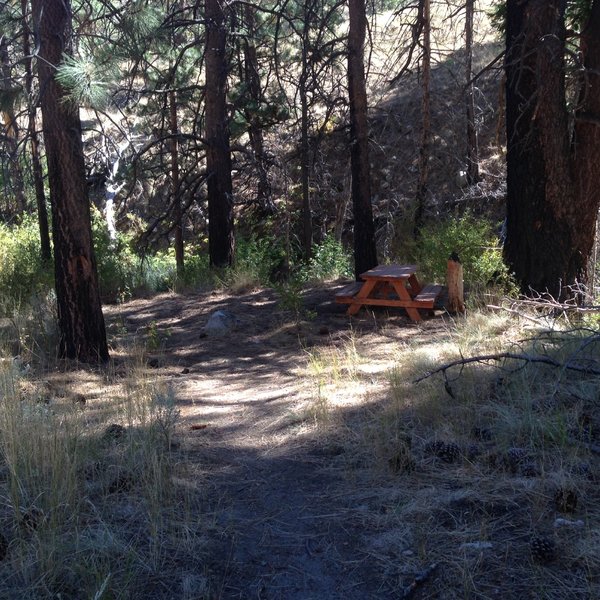 Picnic table at Ash Creek