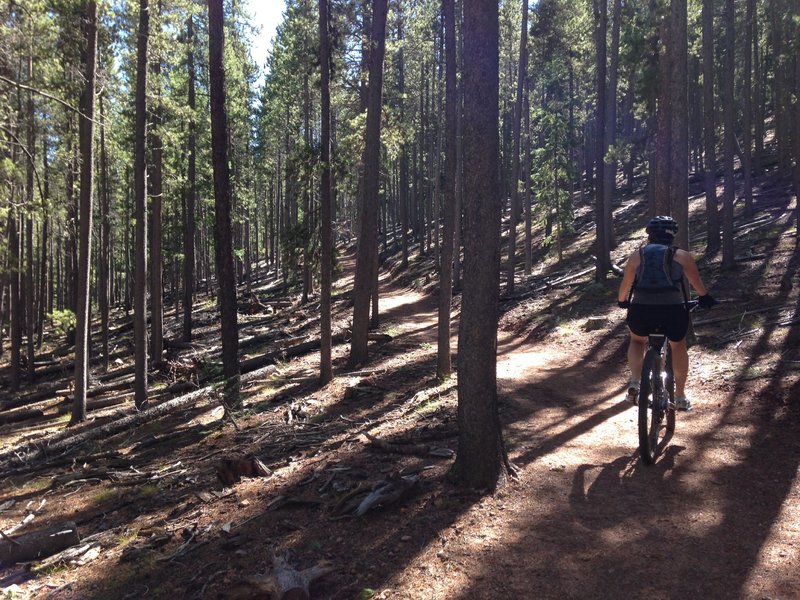 The beginning of the climb up Marmot Passage