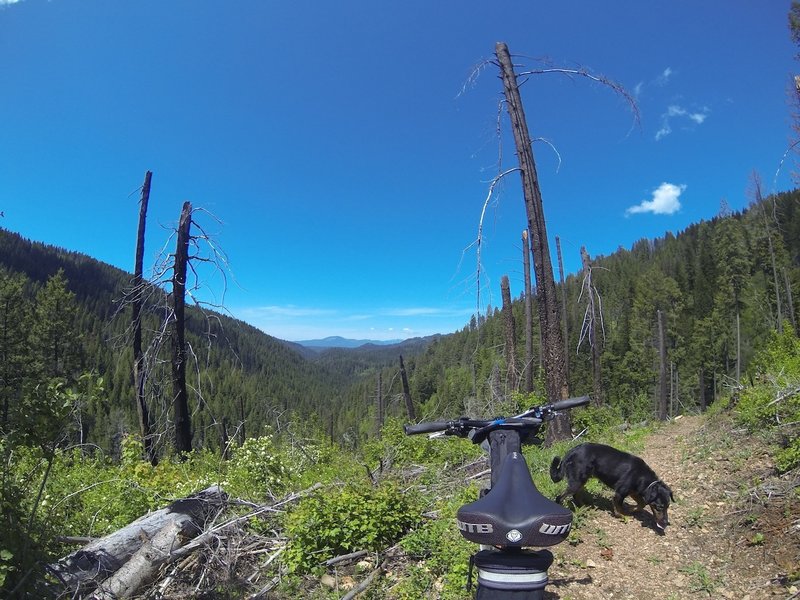 Looking west from Hell's Canyon Trail - Rathdrum Mountain and Mt. Spokane in the background