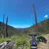 Looking west from Hell's Canyon Trail - Rathdrum Mountain and Mt. Spokane in the background