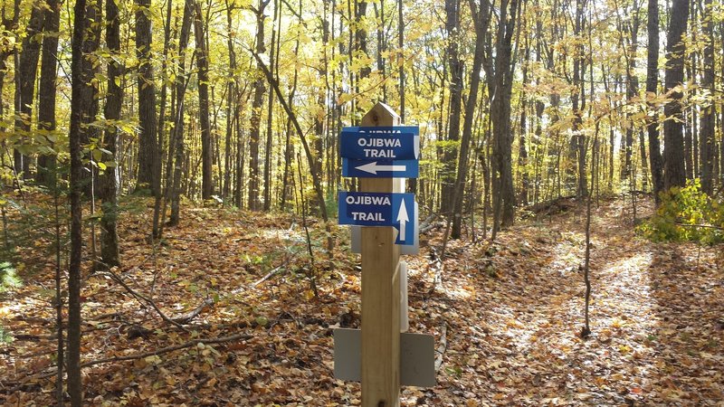 Intersection with the Ojibwe Trail