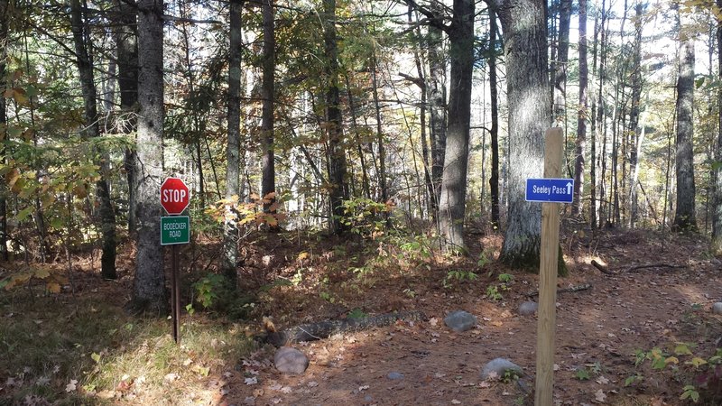 Boedecker Road - Winding Pine - Seeley Pass Intersection