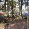 Boedecker Road - Winding Pine - Seeley Pass Intersection