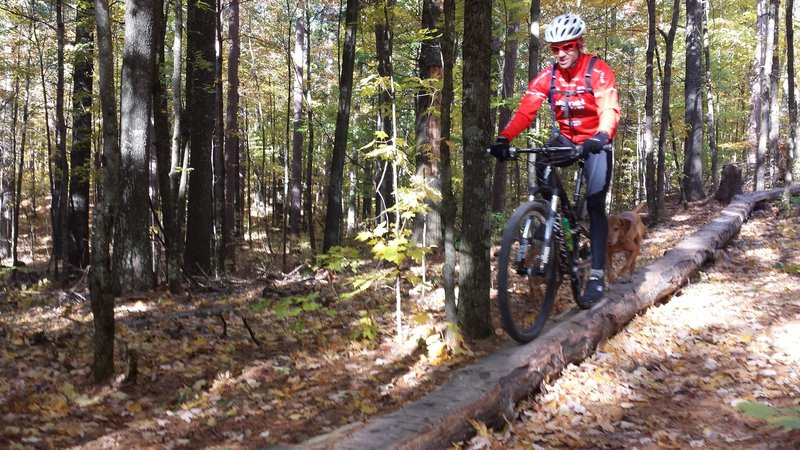 Flow Mama Trail Mountain Bike Trail Seeley Wisconsin