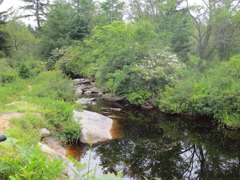 Yellow Creek on 3B's Trail