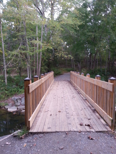 Lake Fairfax Bridge