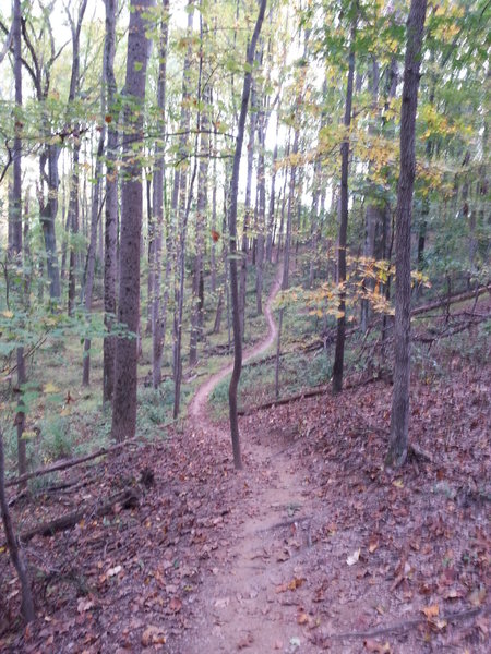 Looking back up the hill