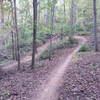 Nicely built berm, but watch out for the large tree on the exit...