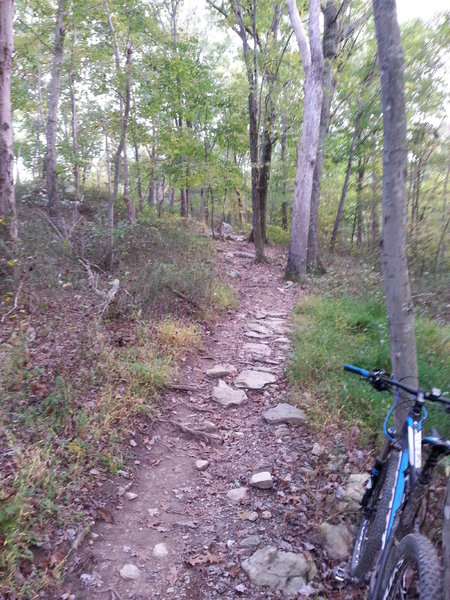 Looking up the technical climb