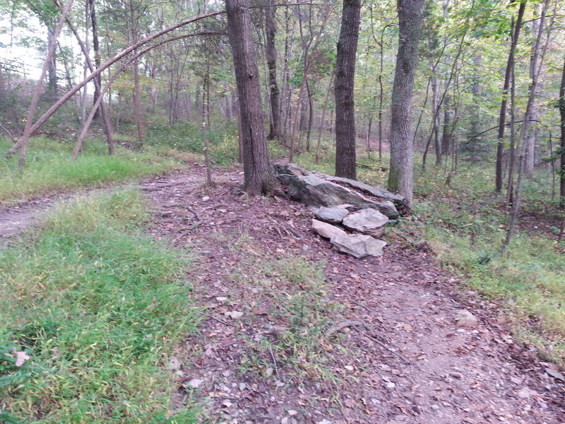 large rock obstacle, easier to ride coming from the other way.