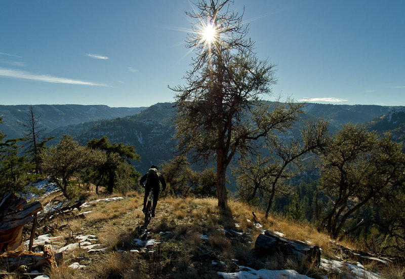 Starting down S. Pinkham Trail