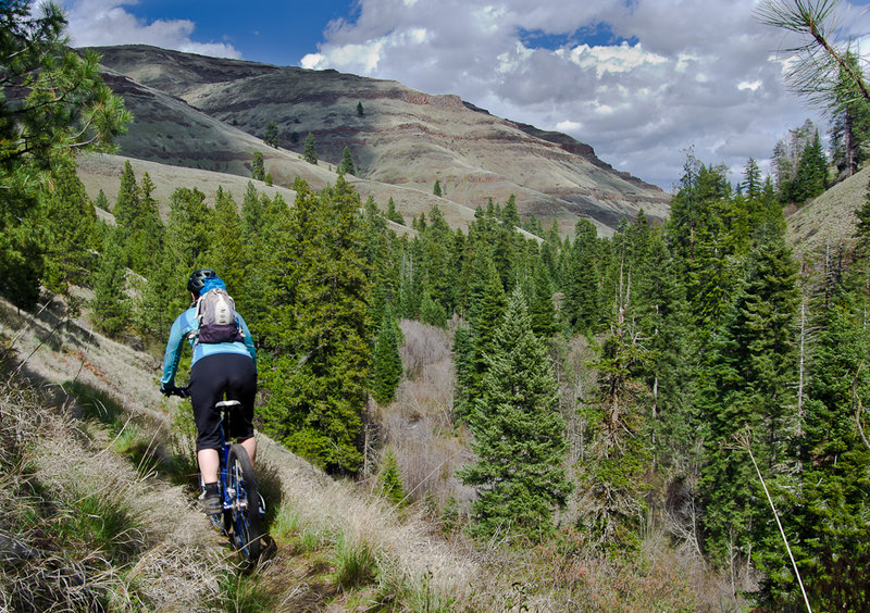 The hill area along the N. Fork Asotin Creek