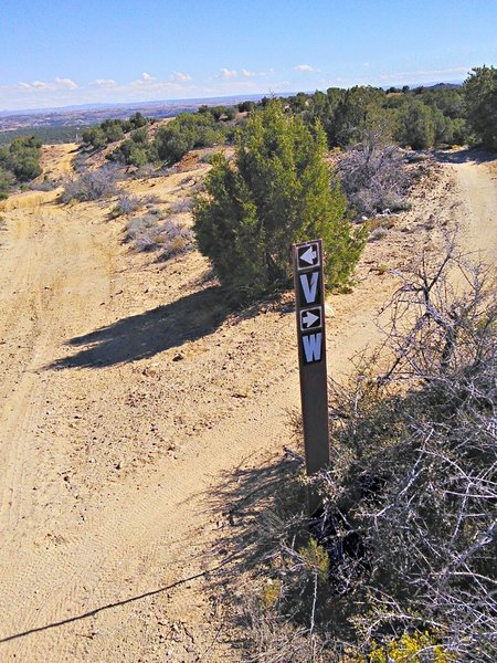 Mysterious trail lettering system