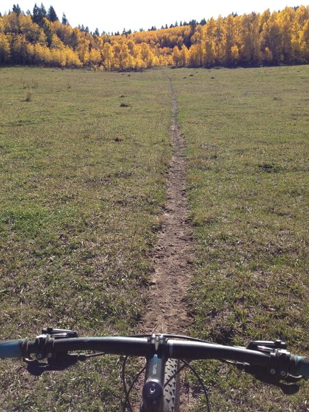 A beautiful open meadow just before the downhill fun starts on Crystal Springs