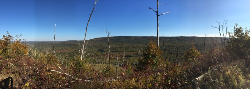 Ridge panorama