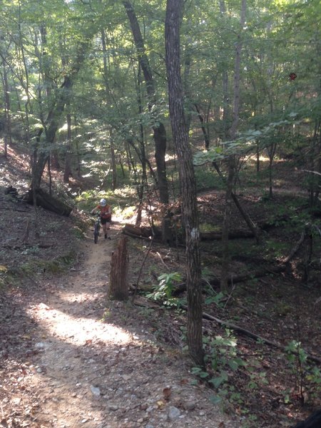 This is about the only creek crossing on the trail.  And no, it is not that technical.