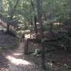 This is about the only creek crossing on the trail.  And no, it is not that technical.