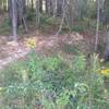 This spot can be confusing when returning to the trailhead.  The fire road is to the left (or straight) and the trail is to the right.