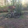 Trailhead sign.  Keep right to take Bills Creek Loop and left to continue down the main trail.