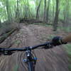 Coasting through the trees in Fanshawe Lake Park!