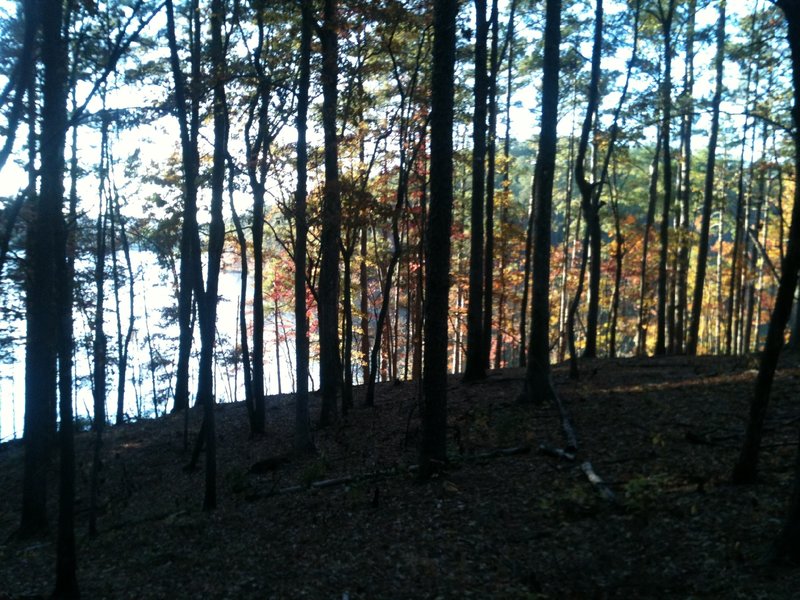 View of Lake Howard from the Lakeview Loop in the fall.  Notice the leaf colors.